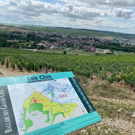 Le Cristallin Gite Plein Coeur De Chablis Zewnętrze zdjęcie