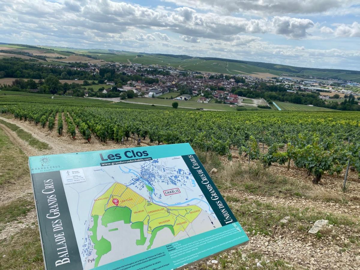 Le Cristallin Gite Plein Coeur De Chablis Zewnętrze zdjęcie