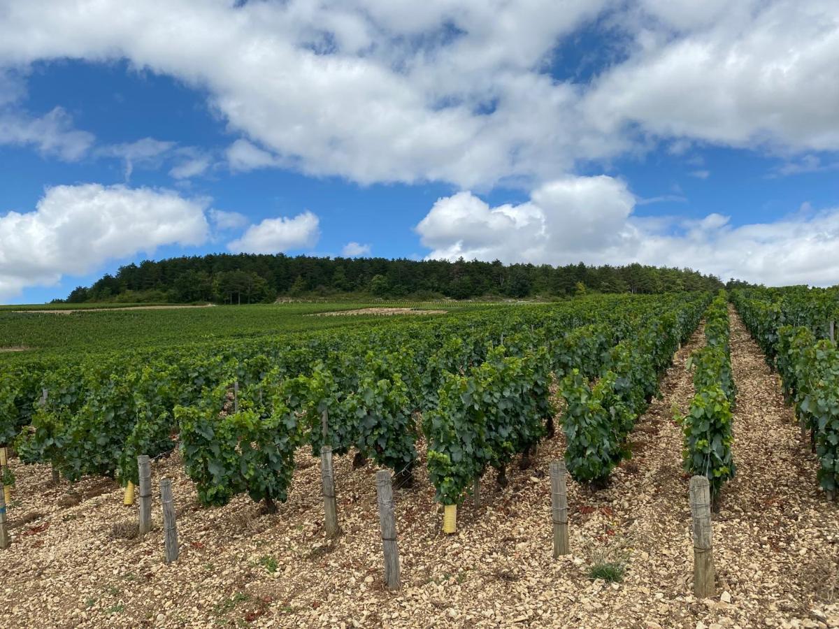 Le Cristallin Gite Plein Coeur De Chablis Zewnętrze zdjęcie